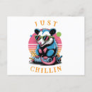 Buscar opossum postales Divertido