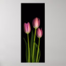 Buscar estampado de flores elegante posters Negro
