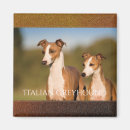 Buscar raza imanes Cachorro