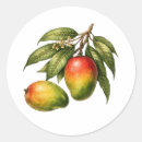 Buscar fruta del mango pegatinas General y unisex