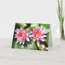 Buscar lillies tarjetas Naturaleza