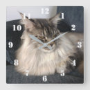 Buscar maine coon relojes de pared Cat