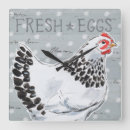 Buscar frases relojes de pared Animales