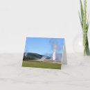 Buscar bisonte tarjetas Parque nacional yellowstone