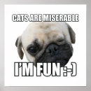 Buscar gatos lindos posters Cachorro