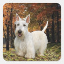 Buscar perros scotty pegatinas Animales