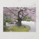 Buscar japón postales Primavera