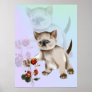 Buscar gatos siameses posters Gatito