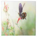 Buscar crudo azulejos Naturaleza