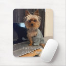 Buscar yorkie electronica Divertido