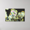 Buscar biología arte Química