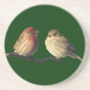 Buscar lovebirds posavasos Para todos