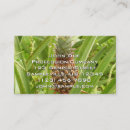 Buscar fruta exótica tarjetas de visita Tropical