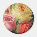 Buscar rosas imanes Plantilla