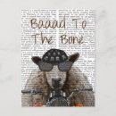 Buscar hueso postales Antiguo