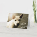 Buscar perro fotograficas tarjetas Para todos