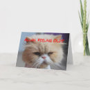 Buscar persiana tarjetas Cat