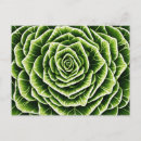 Buscar lechuga postales Verde