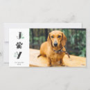 Buscar huellas tarjetas Para mascotas