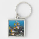 Buscar indonesia llaveros Subacuático