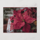 Buscar greetings postales Vacaciones felices
