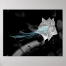 Buscar magia blanca posters Para ella