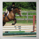 Buscar ecuestre arte Salto de caballo