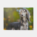 Buscar perro del saluki Para mascotas