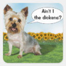 Buscar yorkies Adorable