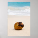 Buscar coco posters Alimento
