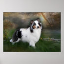 Buscar sheltie posters Animales