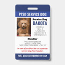 Buscar dog Azul