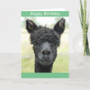 Buscar alpaca tarjetas Animal