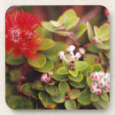 Buscar volcanes posavasos Flor