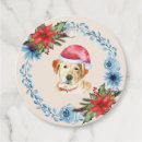 Buscar laboratorio etiquetas recuerdos Perro