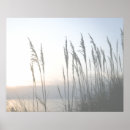 Buscar dunas posters Paisajes