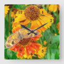 Buscar butterfly relojes de pared Nature