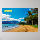 Buscar vacaciones de hawaii posters Palmera