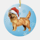 Buscar mojones decoracion navideña Terrier de mojón