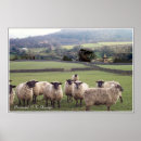 Buscar paisajes ingleses posters Rural