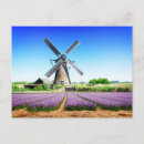 Buscar campo agrícola postales Para todos