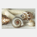 Buscar seashells pegatinas Playa