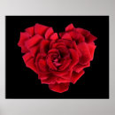 Buscar rosa rojo romántico posters Corazón