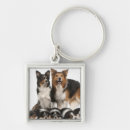 Buscar border collie llaveros Animal