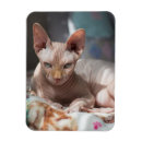 Buscar pelo del gato imanes Para todos