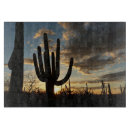 Buscar vidrios de sol fotografía Paisaje