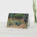 Buscar wild boar postales Naturaleza