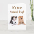 Buscar banal tarjetas Adorable
