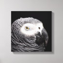 Buscar animales africanos lienzos Fotografía