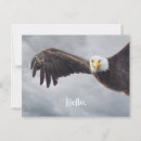 Buscar todas las ocasiones postales Divertido